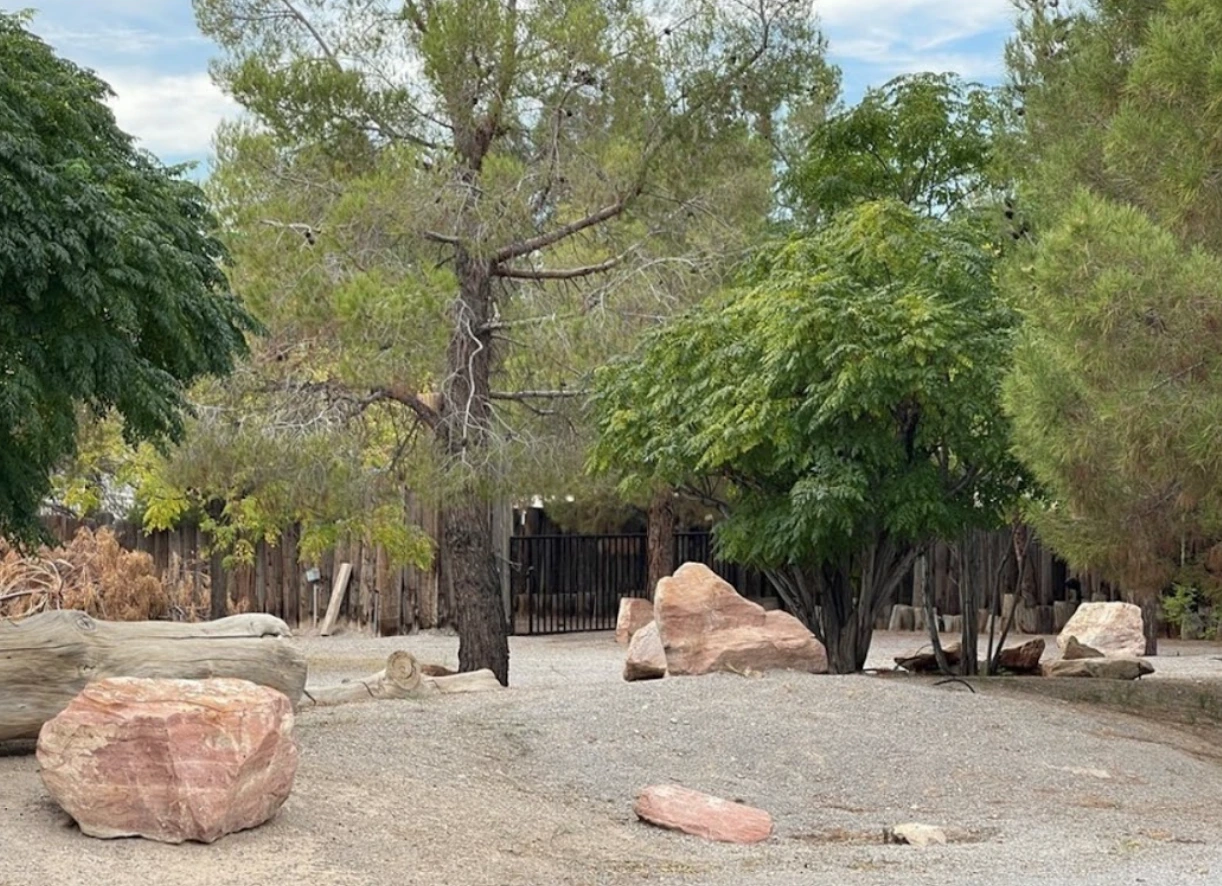 Montessori outdoor learning environment - nature-based education spaces for children